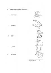 English worksheet: Wild Animals