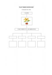 English worksheet: Plant needs 