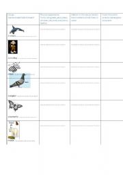 English Worksheet: animals and their habitats part4