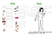 English Worksheet: Body parts 1