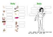 Body parts 1