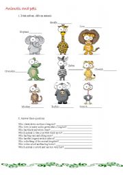 English Worksheet: animals and pets 1