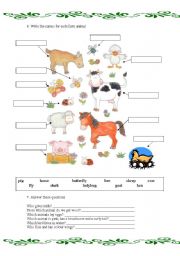 English Worksheet: Animals and pets 2