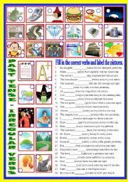 English Worksheet: PAST SIMPLE TENSE - Irregular Verbs  (B/W & Keys)