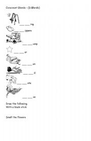 English worksheet: Consonant Blends (S-Blends)