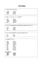 English Worksheet: THE PLURAL