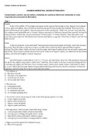 English Worksheet: Exam for the semester