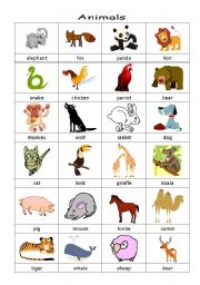 English Worksheet: animals