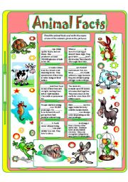 English Worksheet: ANIMAL FACTS (2)