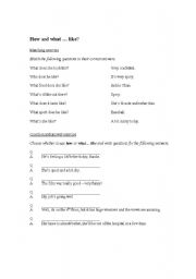 English worksheet: How...? and What... like?