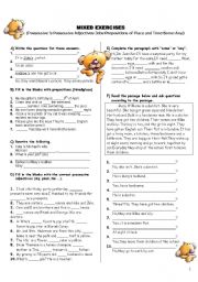 English Worksheet: Mixed Exercises for Elementary Students