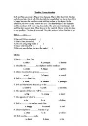 English Worksheet: grade 5 unit 3 reading comprehension Deb and Nan