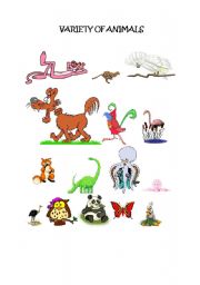 English worksheet: Variety of Animals