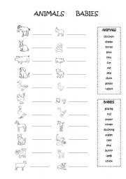 English Worksheet: animal babies