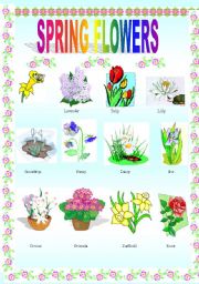 English Worksheet: Spring flowers