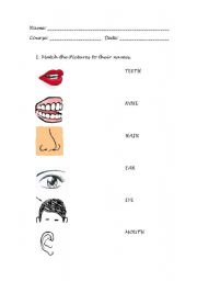 English worksheet: face