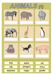 English Worksheet: ANIMALS 1 - cut and paste exercise