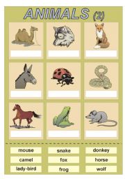 English worksheet: ANIMALS 2 - cut and paste exercise