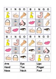 English Worksheet: bingo