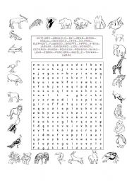 English Worksheet: Zoo Animals Soup Letter