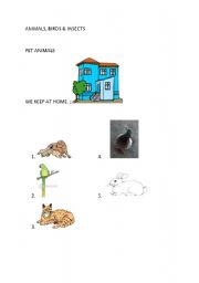 English Worksheet: Animals