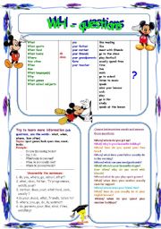 English Worksheet: Wh - questions in the Present Simple Tense