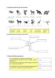 English worksheet: full animals worksheet