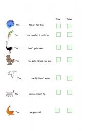 English worksheet: animals true false activity
