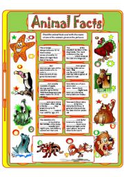 English Worksheet: ANIMAL FACTS (3)