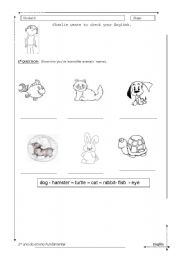 English worksheet: animals