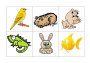 English Worksheet: Pets bingo