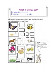 English Worksheet: What do animals eat