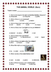 English worksheet: ANIMALS