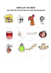 English Worksheet: PARTS OF THE BODY