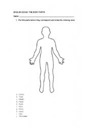 English worksheet: The Human Body