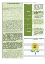 English Worksheet: Protecting our environment
