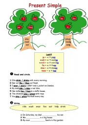 English Worksheet: Present Simple (Affirmative & Negative)