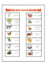 English Worksheet: Match the plant/animal with the food