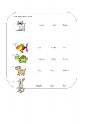 English worksheet: Pets