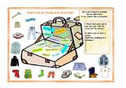 English Worksheet: Whats in my suitcase