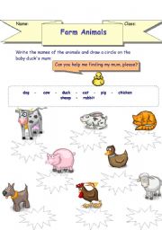 Farm animals matching activity