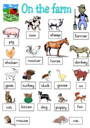 Farm Animals Poster