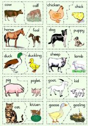 English Worksheet: Farm Animals and their young