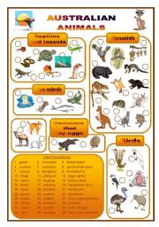 English Worksheet: Australian animals, a labelling worksheet (fully editable)