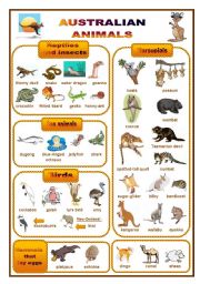 English Worksheet: Australian animals: a pictionary (fully editable)