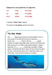 The Blue Whale