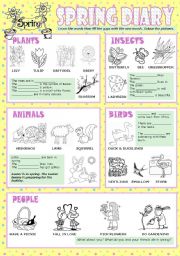 English Worksheet: Spring diary