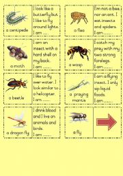 English Worksheet: Insects Dominoes Part  2