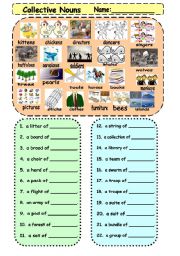 English Worksheet: collective nouns