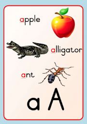 Alphabet Freeze A-D - Set 1